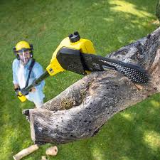 Best Lawn Pest Prevention  in Rochester, NH